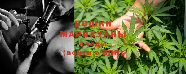 Альфа ПВП Магас