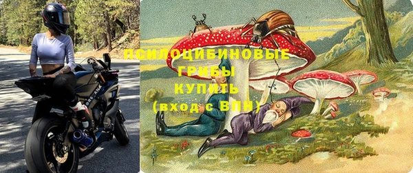 Альфа ПВП Магас